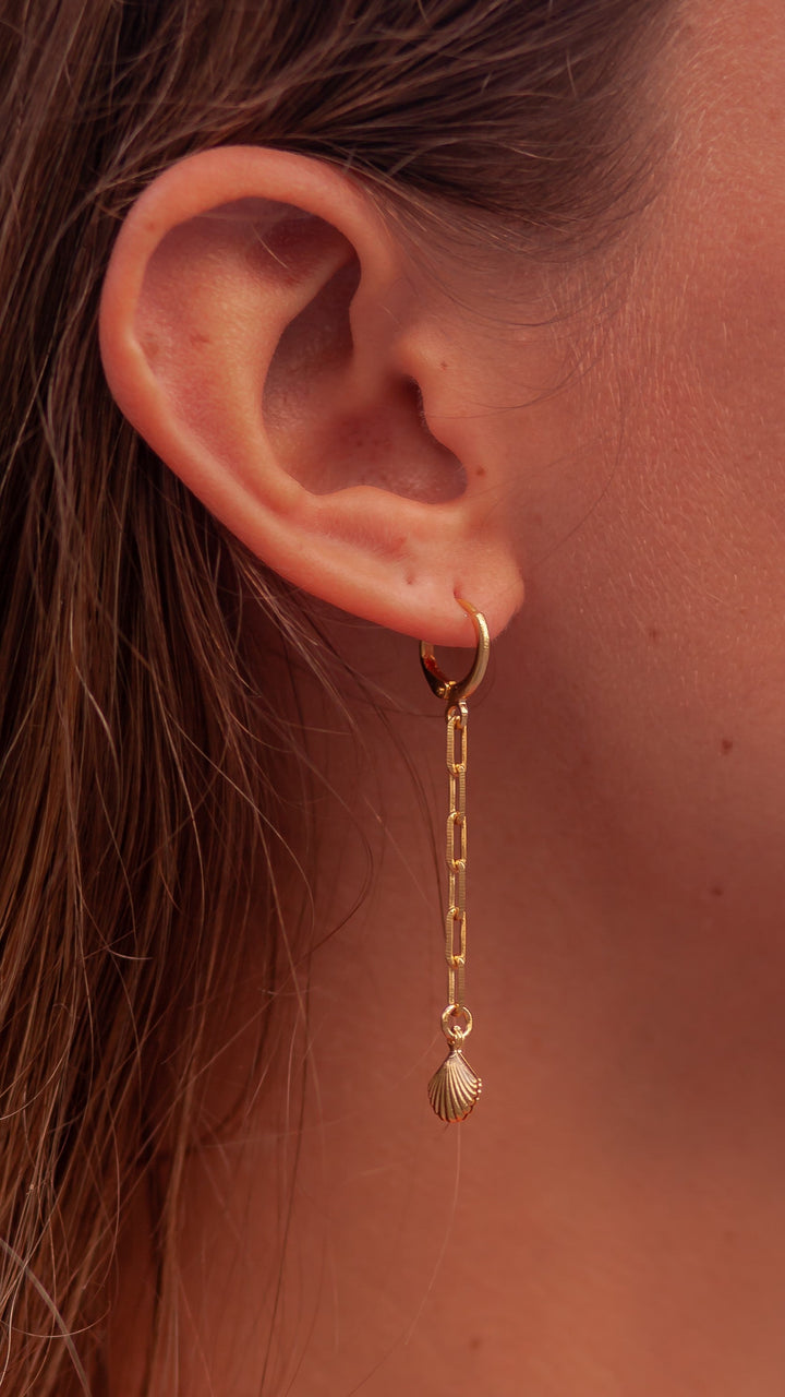 18K Dainty Chain Shell Charm Earring, Gold