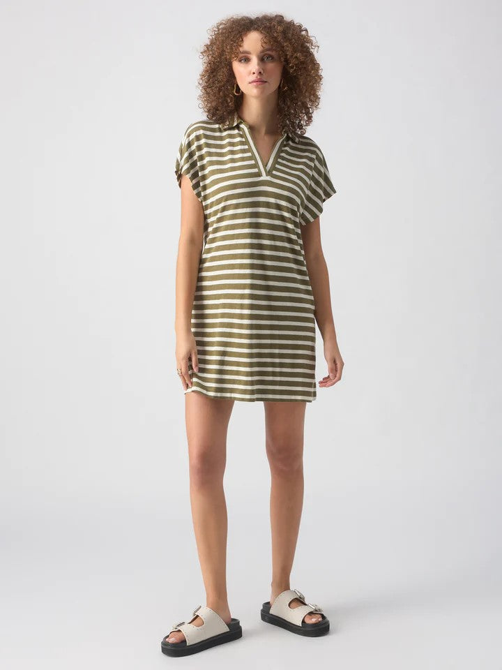 Johnny Collar T-Shirt Dress, Ecru/Olive Stripe