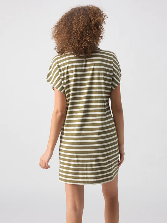 Johnny Collar T-Shirt Dress, Ecru/Olive Stripe