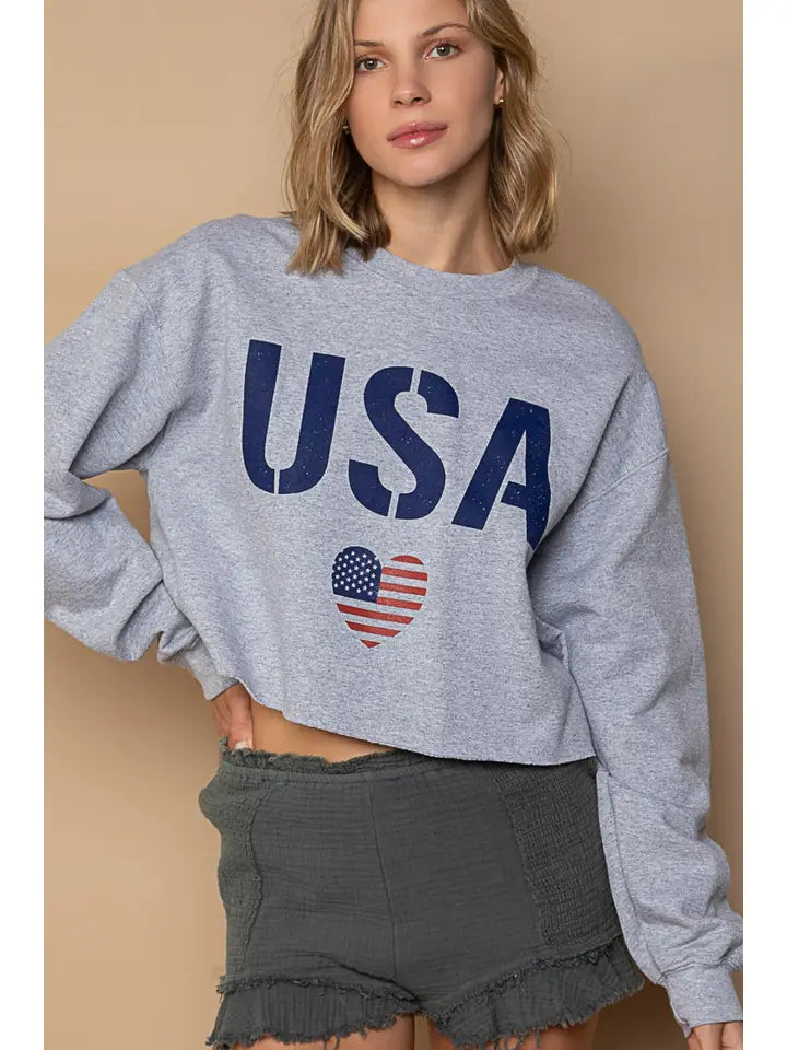 Patriotic USA Print Crew Neck Cropped Sweatshirt